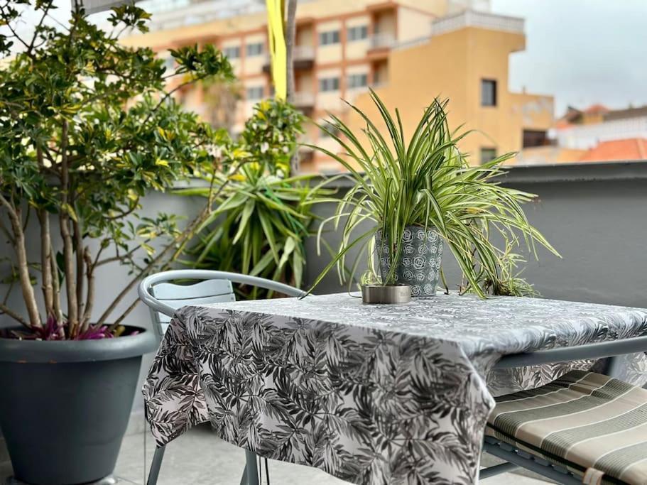 Apartamento Center Penthouse Near The